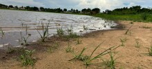 Governo de Mato Grosso do Sul decreta situação de emergência por estiagem severa