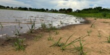 Governo de Mato Grosso do Sul decreta situação de emergência por estiagem severa