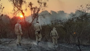 Queimadas no Pantanal caíram 25,69% em comparação a 2020