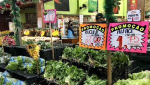 Preço de frutas, legumes e verduras tem variação de até 565,19% em Campo Grande