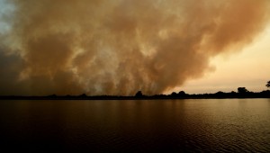 Pantanal de Mato Grosso do Sul teve 7,12% de seu território consumido pelo fogo em 2021