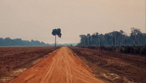 Mato Grosso do Sul implementa novos sistemas de monitoramento para preservação ambiental