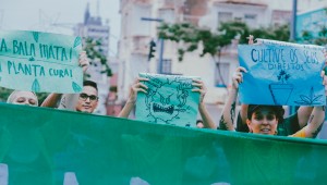 Maconha, uma medicina possível