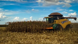 Setor agrícola de Mato Grosso do Sul registra recorde de produção na Safra 2023