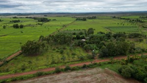 Cerrado além do agro