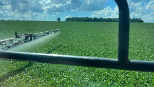 Chuva impulsiona plantio de soja e área semeada da safra amplia no estado