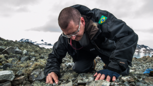 Pesquisadores da UFMS participam de expedições científicas na Antártica