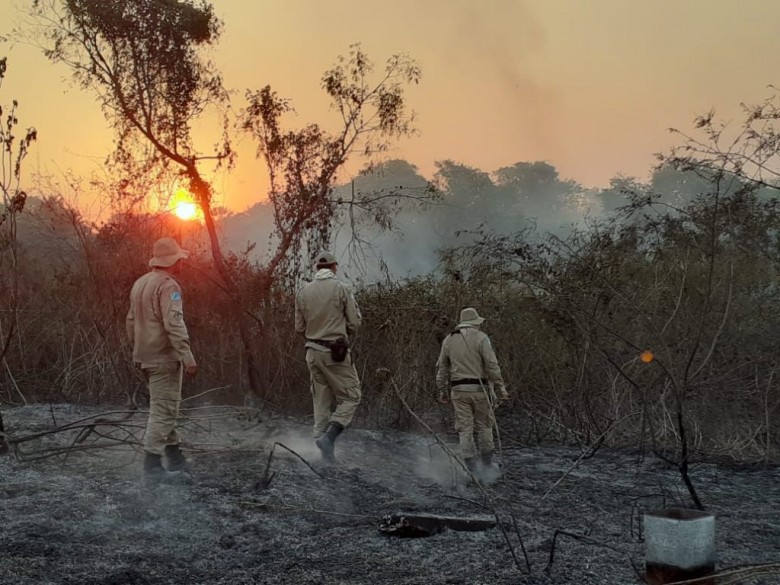 As quedas nos percentuais de incêndios em Mato Grosso do Sul são resultados das ocorrências realizadas pelo CBMMS