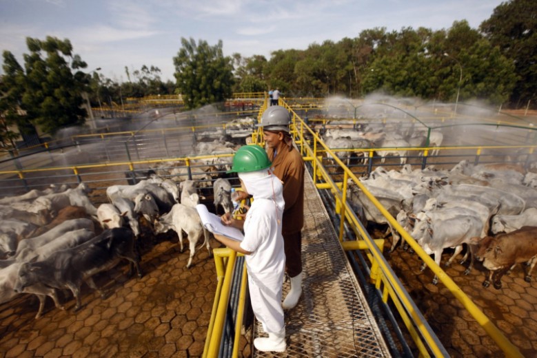 A agropecuária é responsável por 80% das emissões de gases do efeito estufa no Mato Grosso do Sul