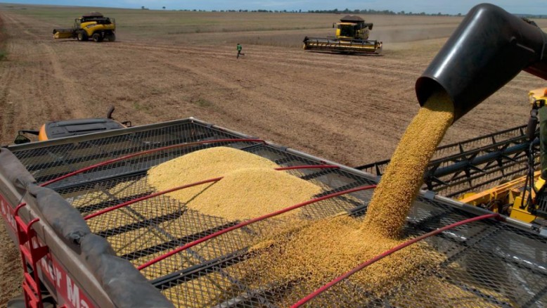 Safra de soja atinge marca histórica de 15 milhões de toneladas em Mato Grosso do Sul