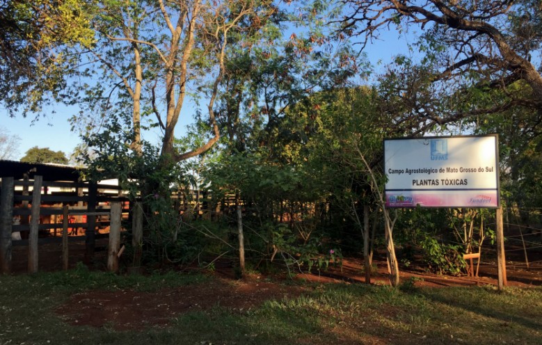 Jardim está localizado na FAMEZ, no campus de Campo Grande