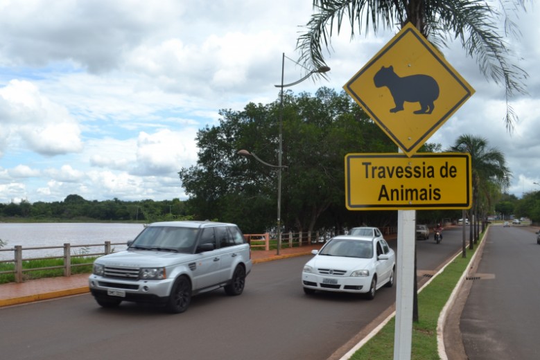 Placas de sinalização alertam sobre a travessia de animais