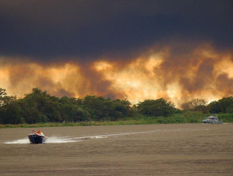 Inpe registra aumento de 334% dos focos de queimadas no Pantanal em 2019 (Foto: Jean Fernandes / via Ecoa)