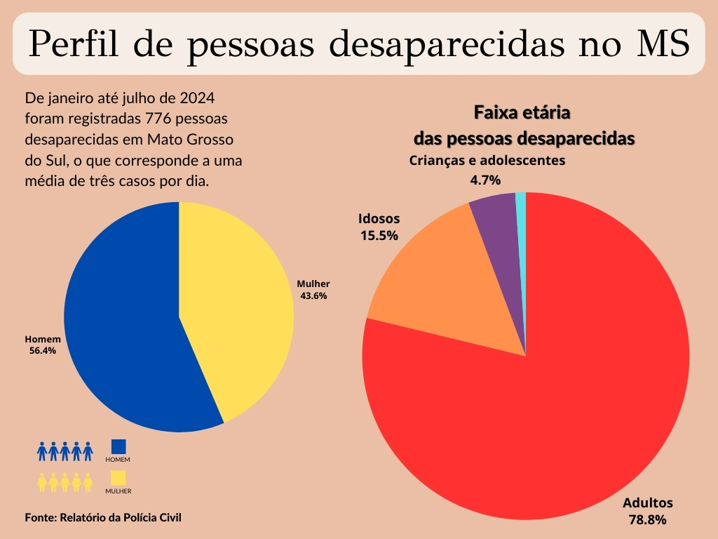 Perfil de pessoas desaparecidas 