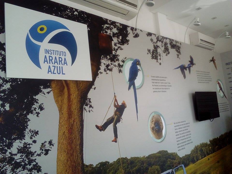 O Instituto Arara Azul foi criado em 2003 (Foto: Caroline Carvalho)